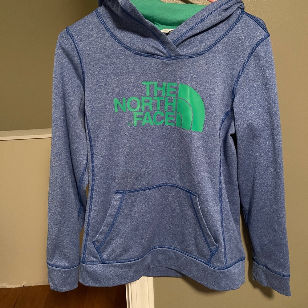 The north face sweatshirt